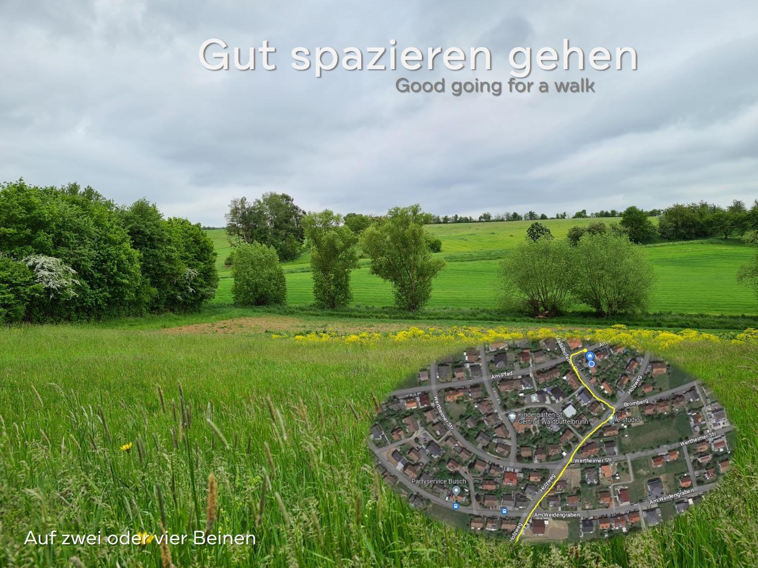 Lichtdurchflutetes Zimmer - Marienberg Waldbuttelbrunn Экстерьер фото